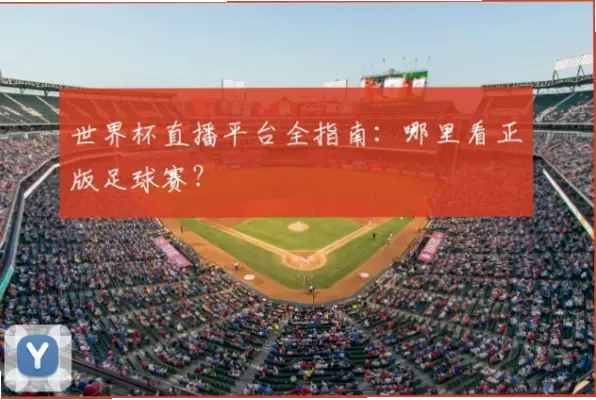 世界杯比赛直播在哪里看？正版渠道指南